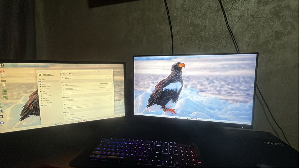 Vand 2 monitoare gaming