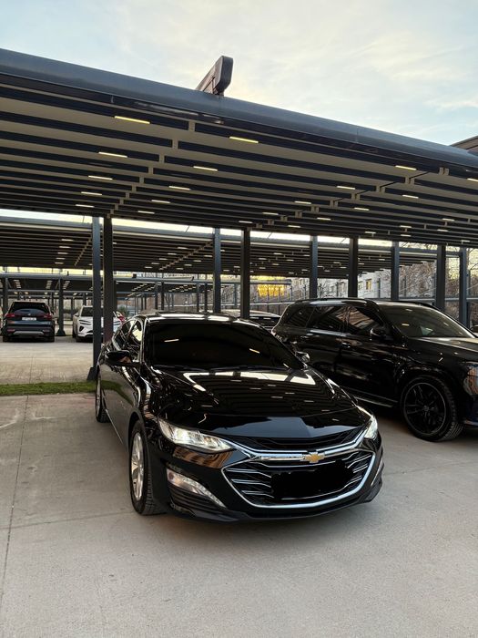 Malibu 2LT 2019 primer