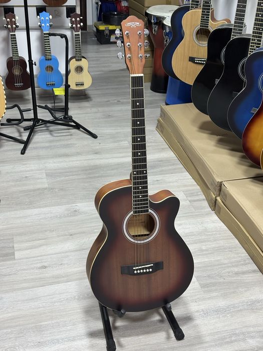 Akustik professional gitara