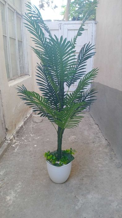 Yangi Gul sotiladi