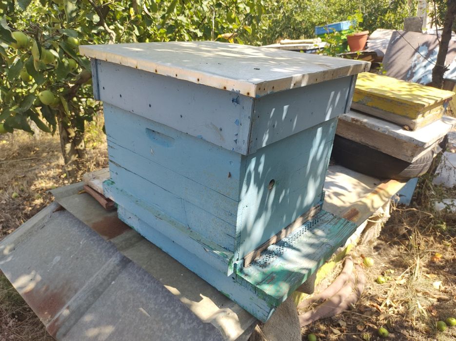 Кошери и магазини