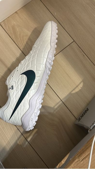 Сороконожки новые