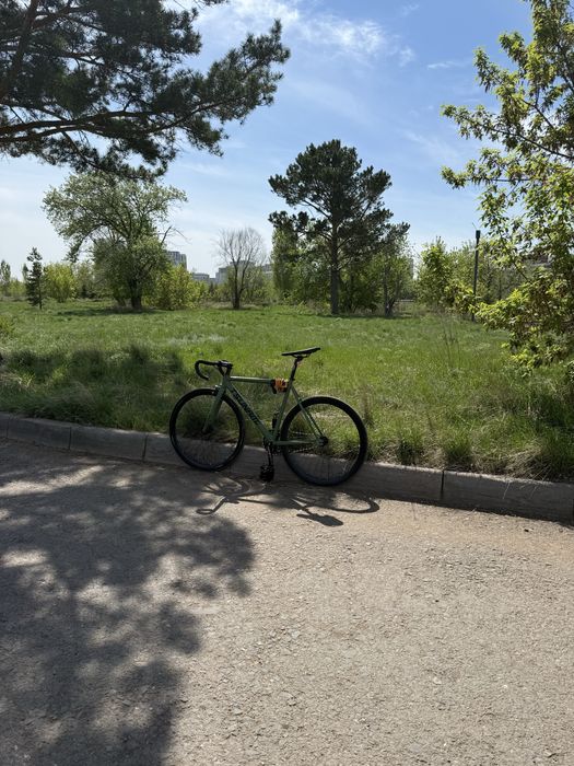 fixed gear tsunami snm100