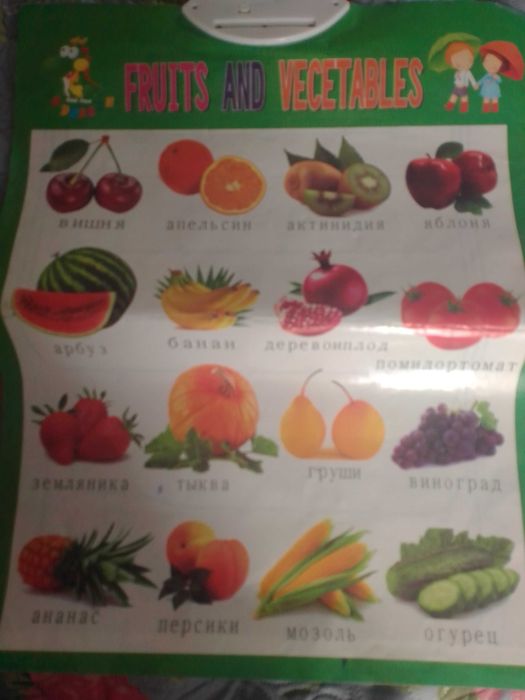 Продам обучающий плакат.