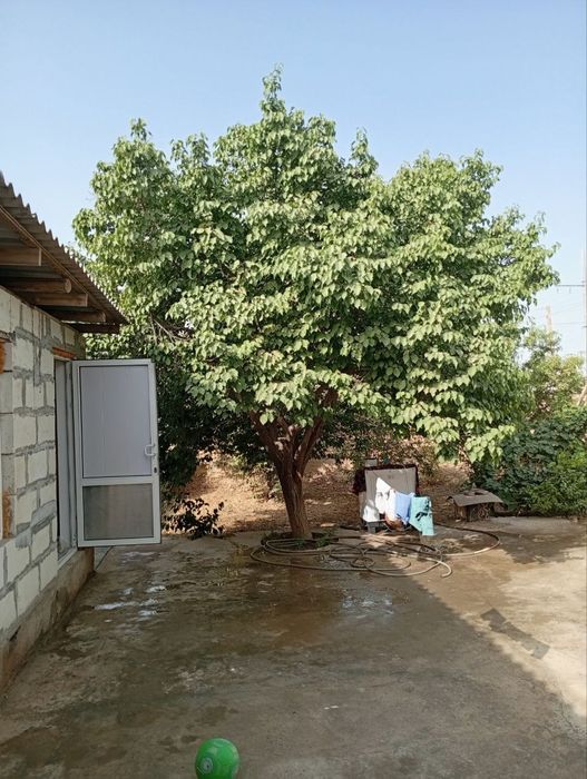 Уй сотилади срочно сотилади