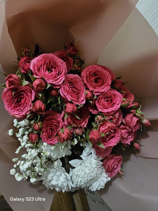 Продам цветы не дорого!