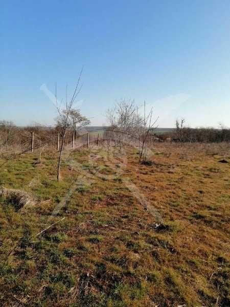 УПИ парцел в Дюлево 77709