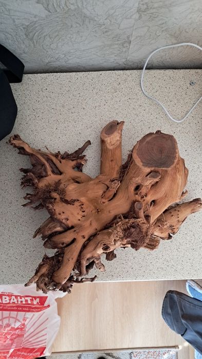 Африкански корен за аквариум