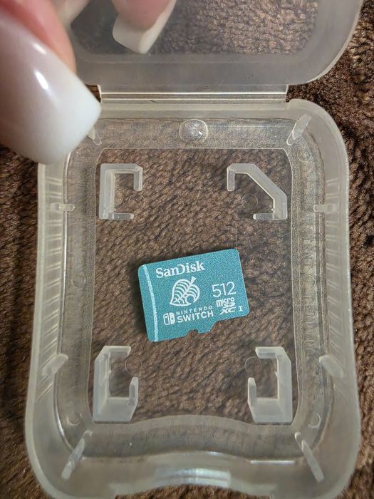 SanDisk Nintendo Switch