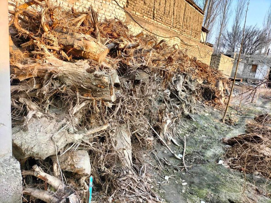 Oʻtin sotiladi quruq otin