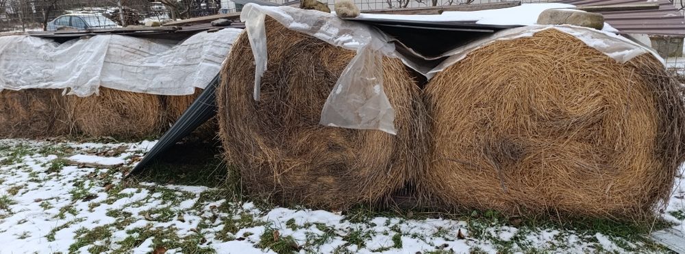 Baloți rotunzi de fân