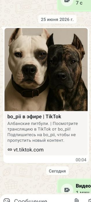 Продам щенка.с радословной