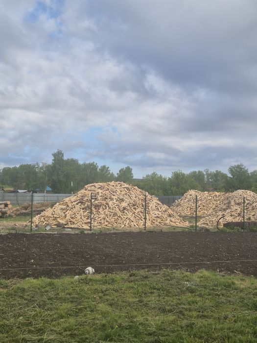 Продам дрова осина с.Тарханка