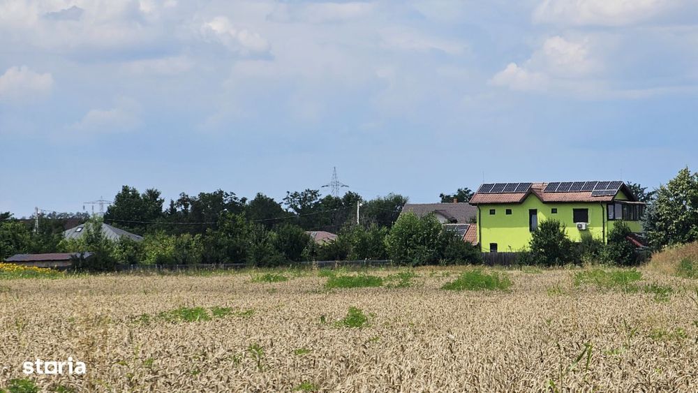 Teren Gulia Tartasesti, padurea Raioasa, investitie premium