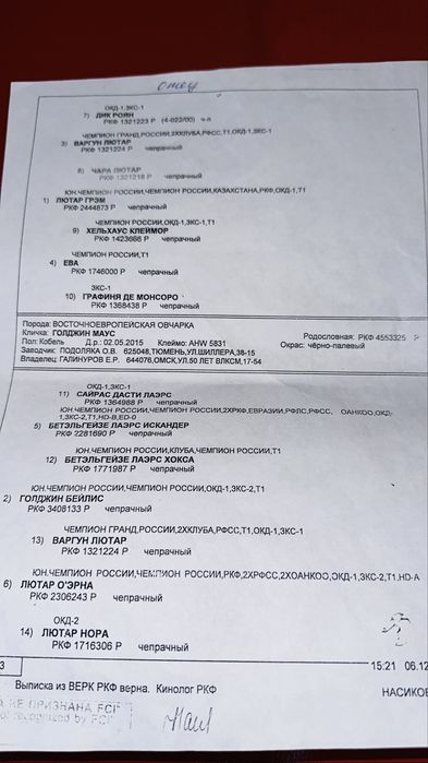 Продам,Обмен,ВЕО Кобель(7 лет)