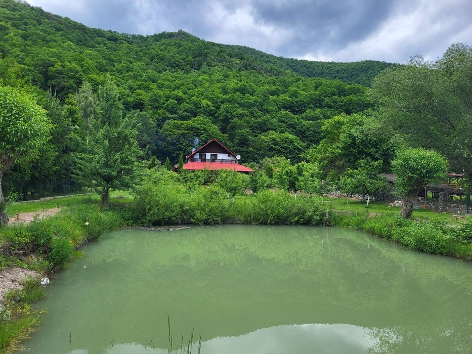 Cabană de închiriat cu minipiscină încălzită și iaz cu pește