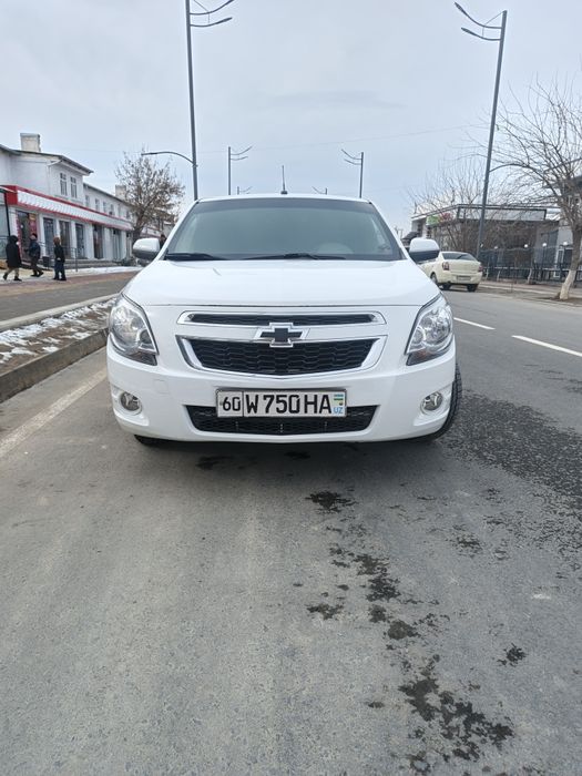 Cobolt 2014 xolati alo srochna