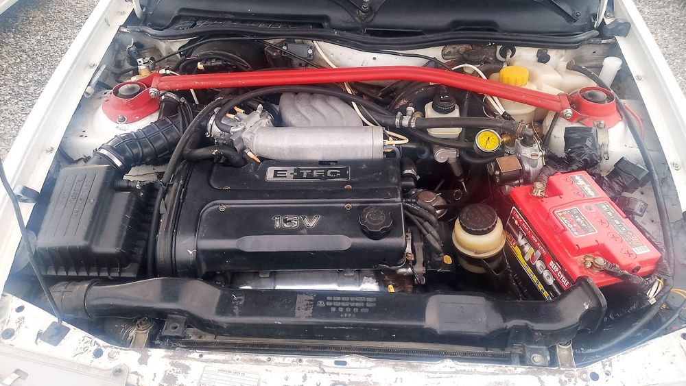 Neksa Dons 2006 yil . Samarqandda