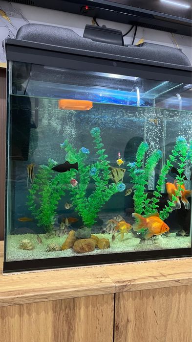 Продам Аквариум