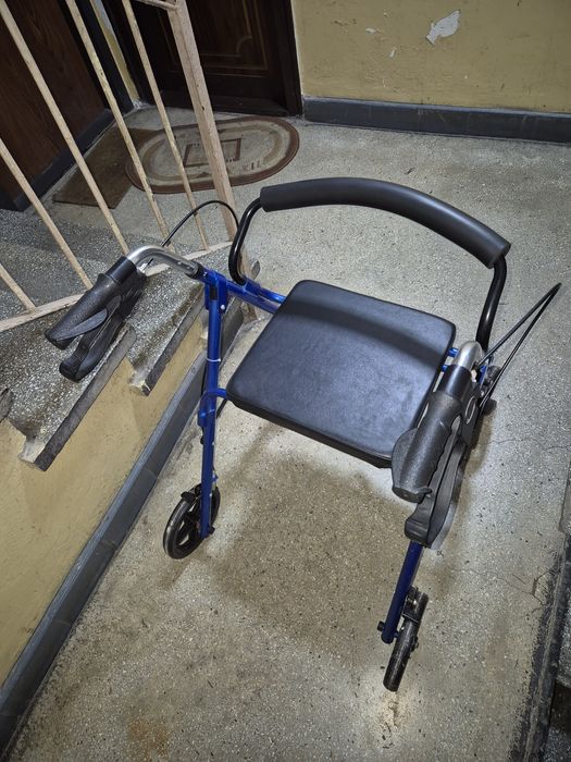 cadru medicinal batrani