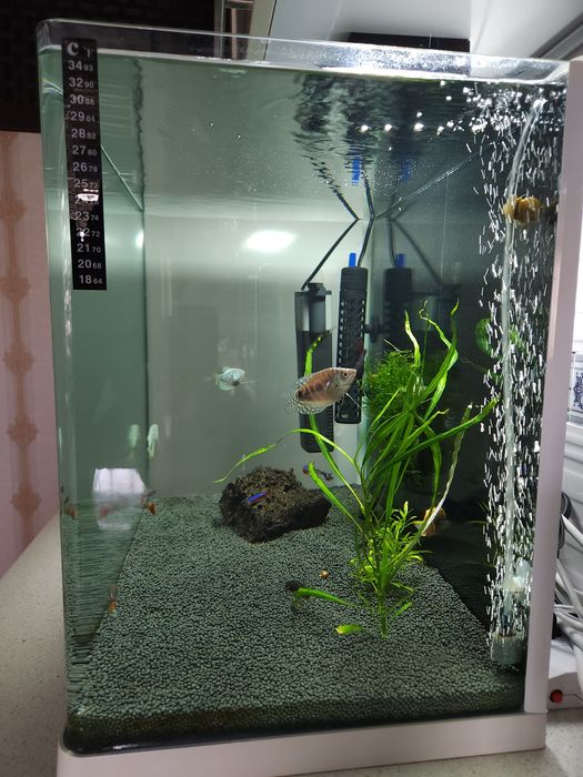 Akvarium Аквариум 86 litr