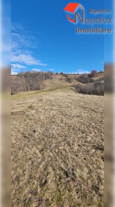 Teren de exceptie 3,1 ha intravilan | Panorama, utilitati, acces dublu | Sardu