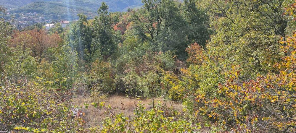 Продава се Парцел в с. Храбрино, Област Пловдив - 490 кв.м за 41 €/кв.м - Снимка #4