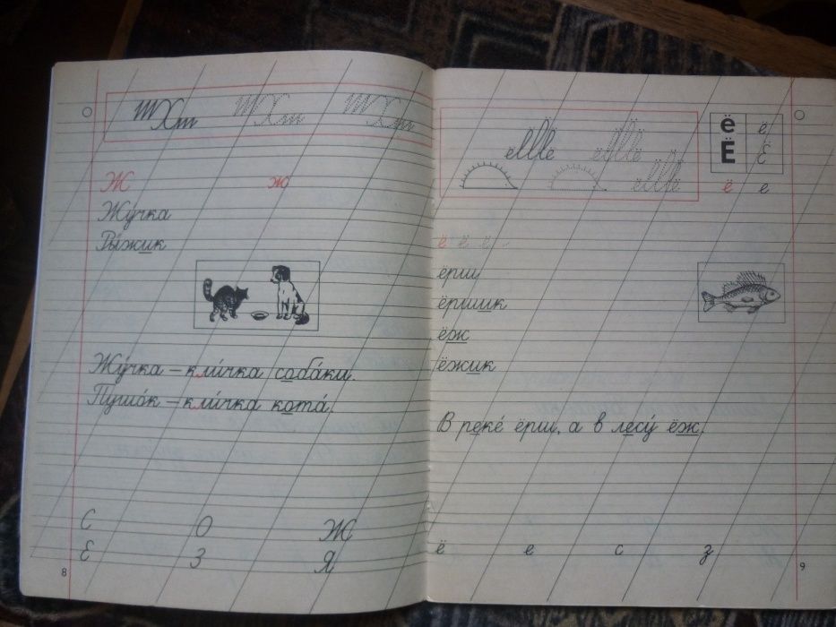 Тетрадь по математике М. И. Моро, прописи.