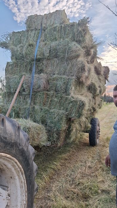 Vand baloți  de fan cu lucernă