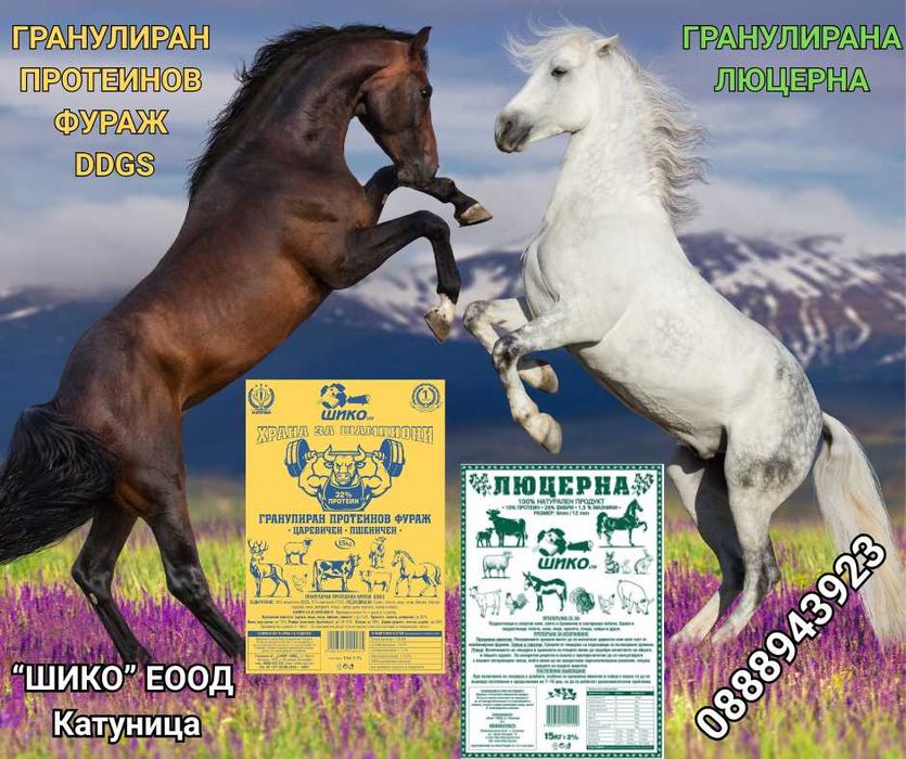 Гранулиран протеинов фураж DDGS