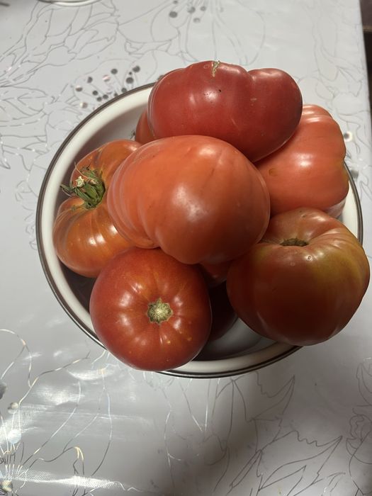 Продам домашние помидоры