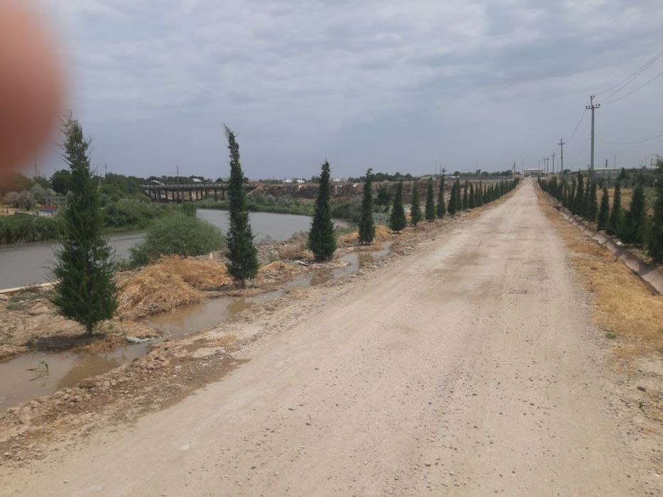 Ер сотилади (тайер бинолари хам мавжуд) 1 гектар