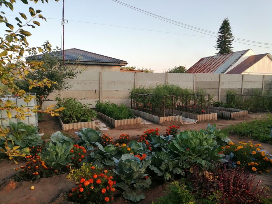 Участок. Около дома малютки