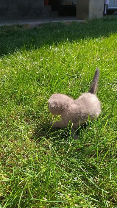 Бронируем,Веслоущки..