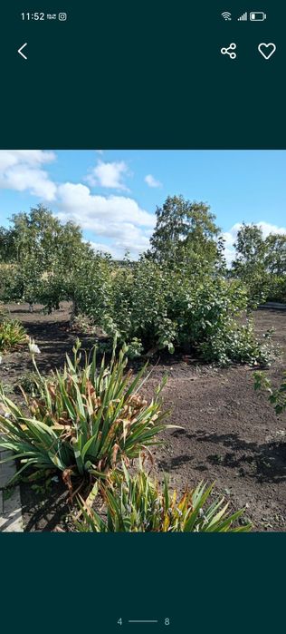 Продам участок Приишимка