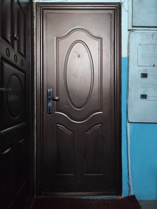 Входной дверь металический