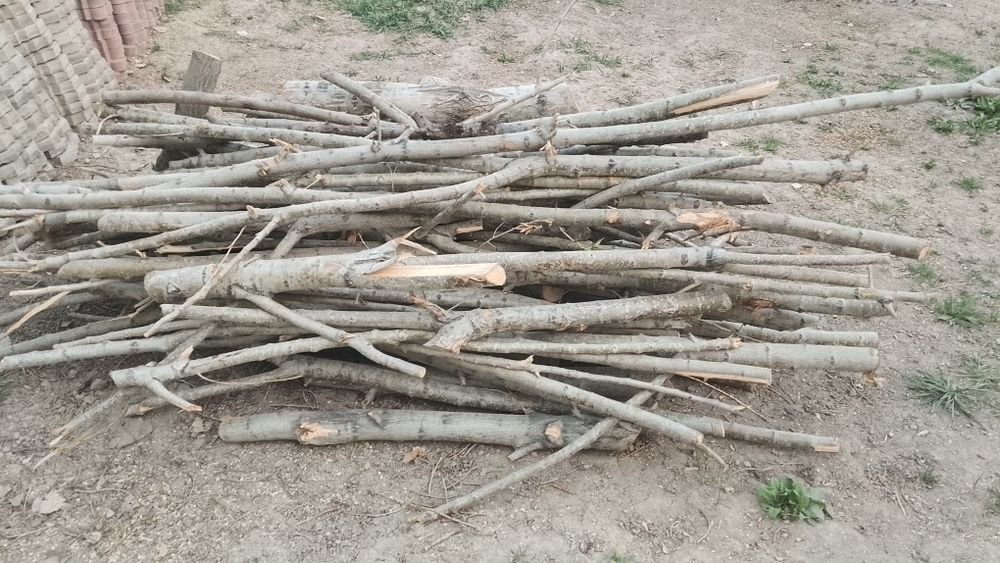 Отдам дрова даром