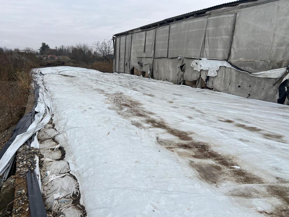 Vand siloz porumb 2025