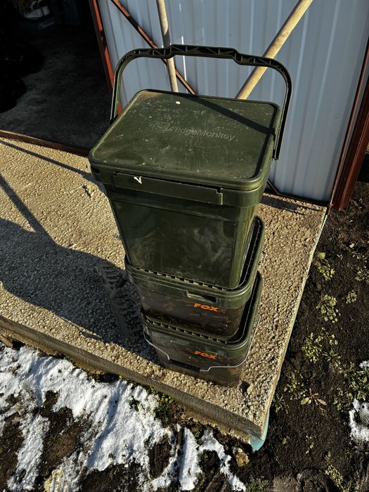 Galeti fox si ridgemonkey