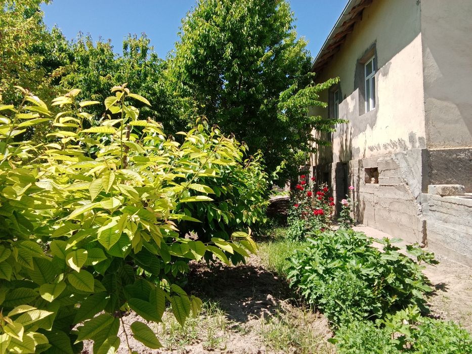 Дом в Бустанлыкском районе.