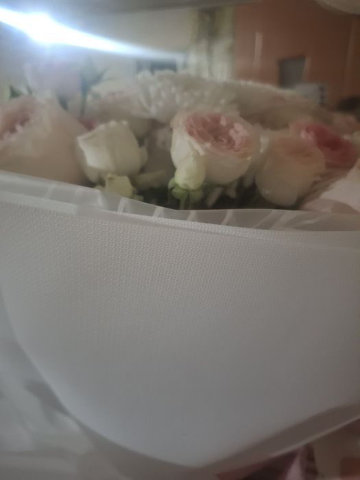 гүл алам десеңдер ватсапқа шығыңдар