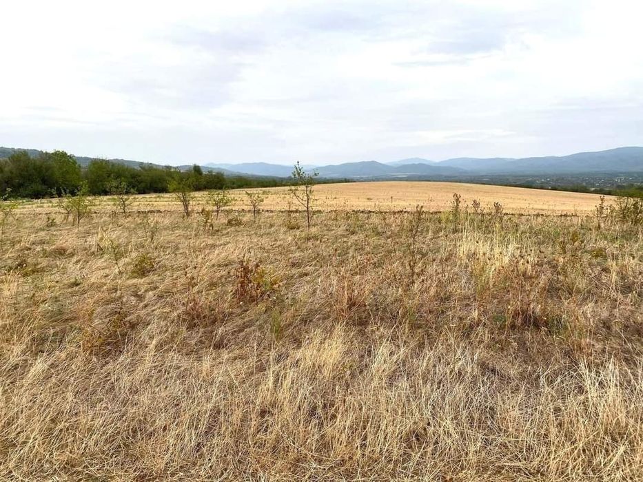 Продава се Парцел в с. Церова кория, Област Велико Търново - 800 кв.м за 12 €/кв.м - Снимка #4