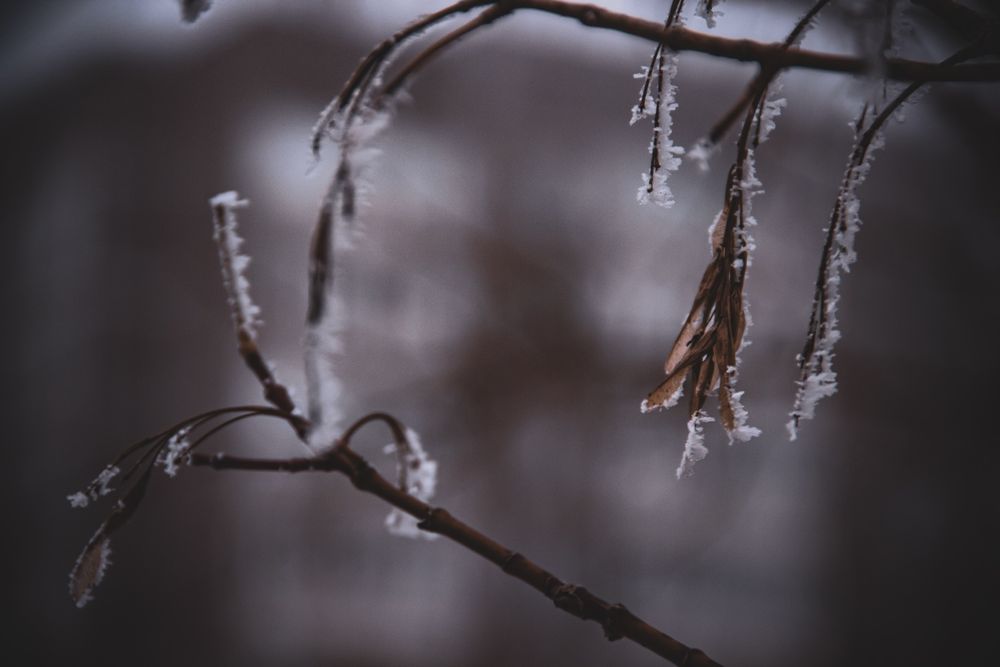 Фотоаппарат Canon 600d