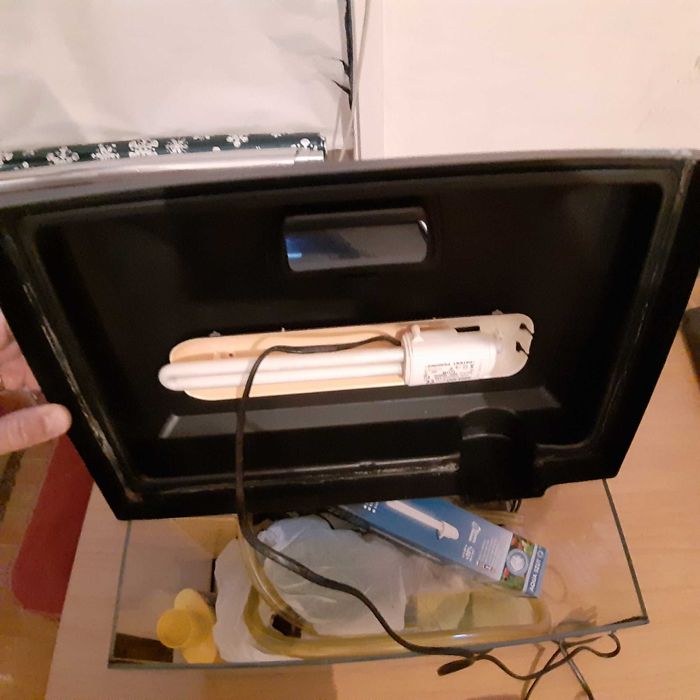 Acvariu și accesorii acvariu