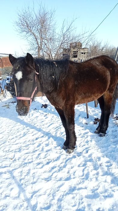 1год 10месяцев,еркек
