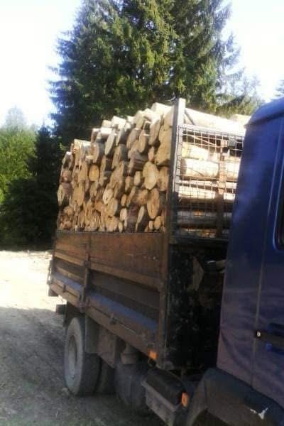 Lemne de foc fag, cârpen și brad