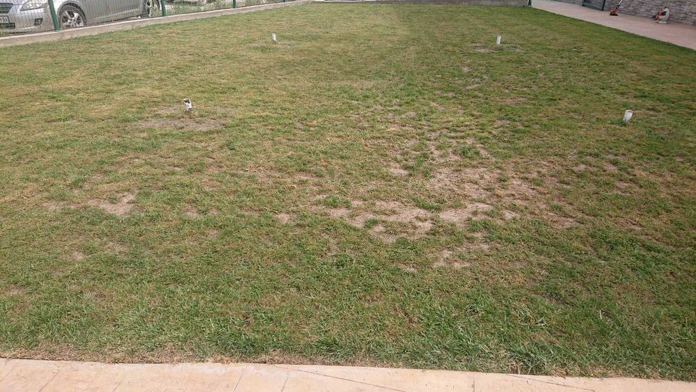 Възтановяване/поправка/сгъстяване на тревната покривка.Затревяване .