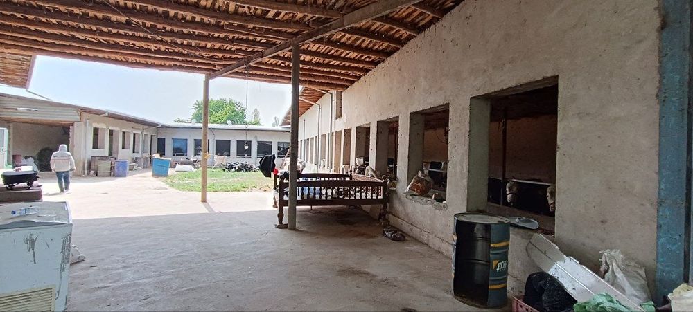 Ferma sotiladi 10 sotik