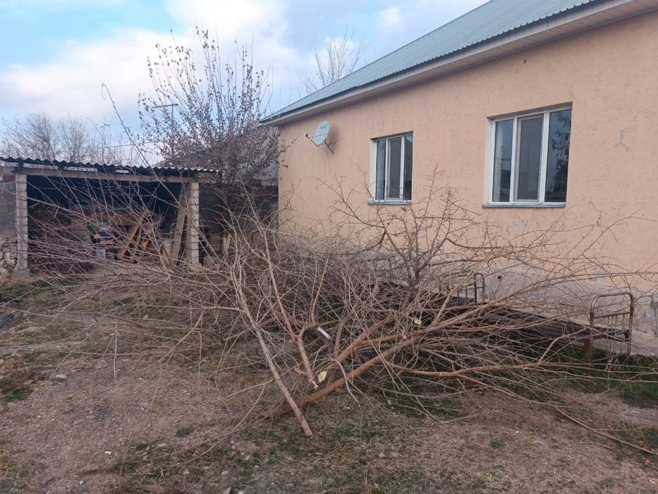 Бутактар берыледы Тегын адрес: Таскен