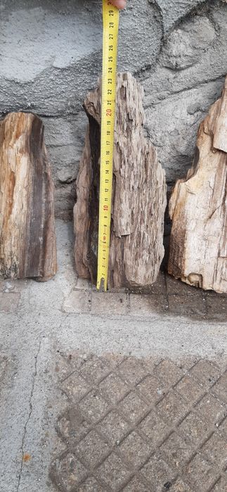 Вкаменено дърво, каменно дърво,дърво от камък